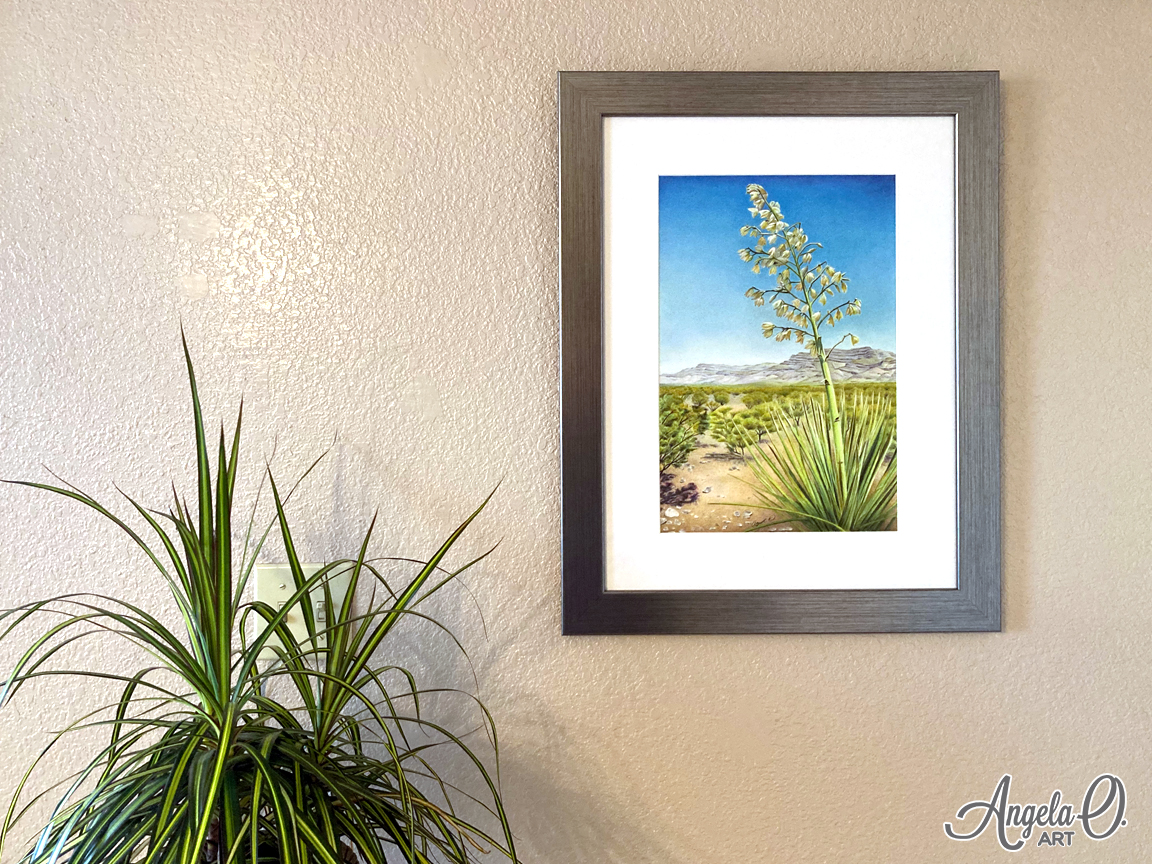 Framed yucca art on display.