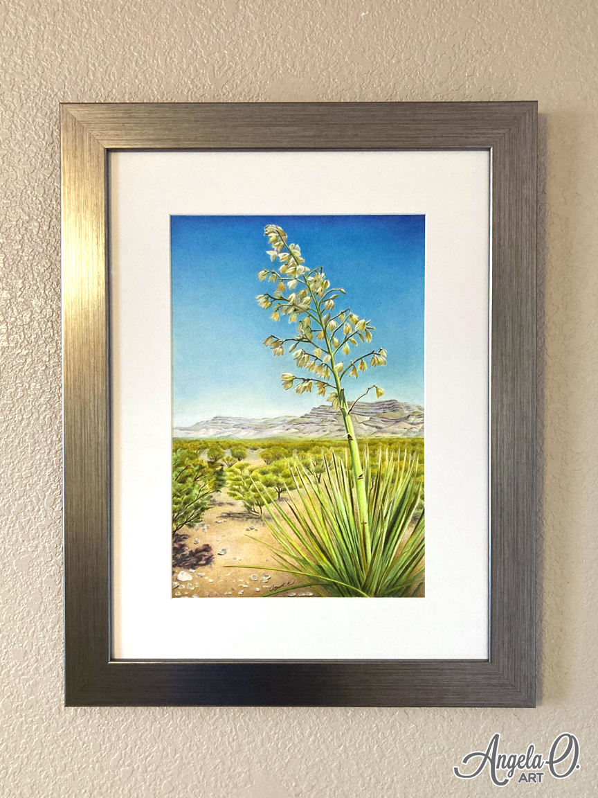 Framed yucca art.